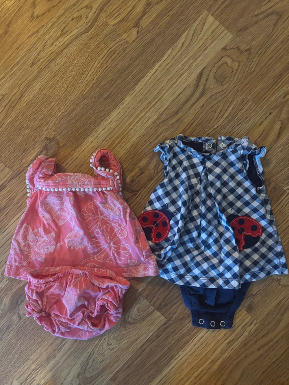 Carter's Pink Floral Dress with Matching Bloomers & Lady Bug Onesie